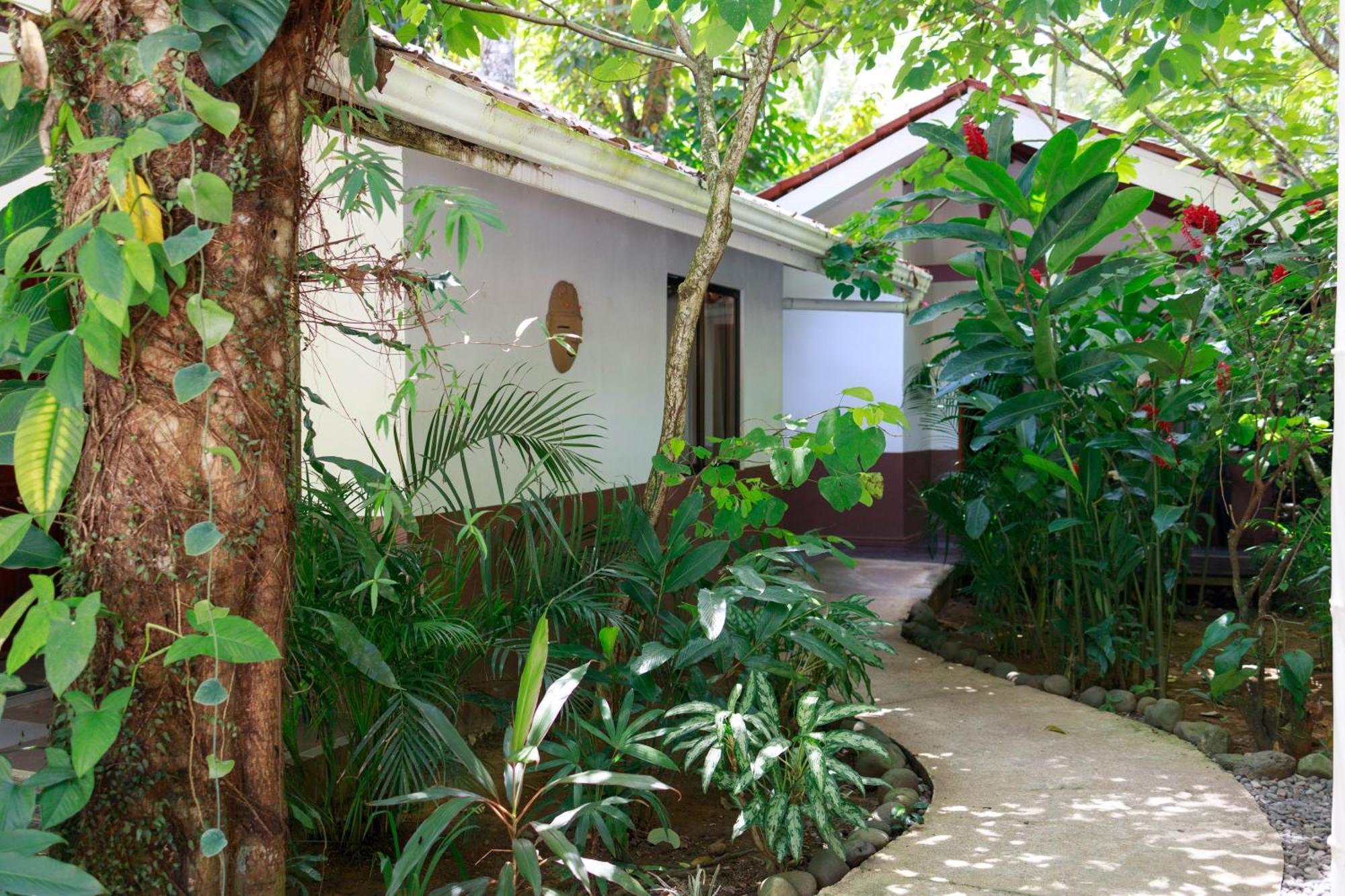 Bambutel Cocles Hotel Puerto Viejo de Talamanca Exterior photo