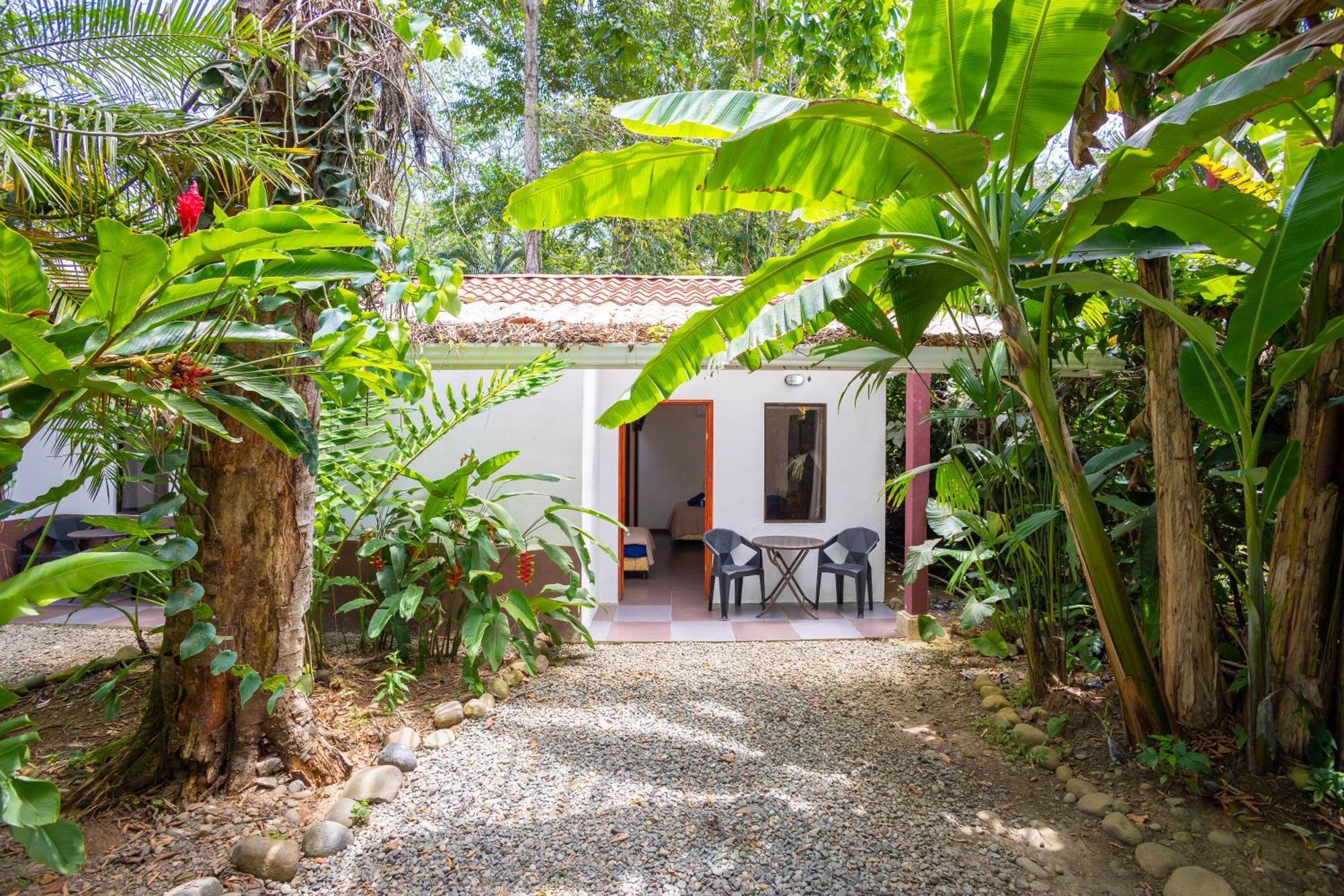 Bambutel Cocles Hotel Puerto Viejo de Talamanca Exterior photo